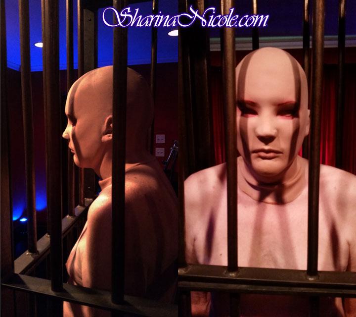 BDSM Solitary Confinement and Caging