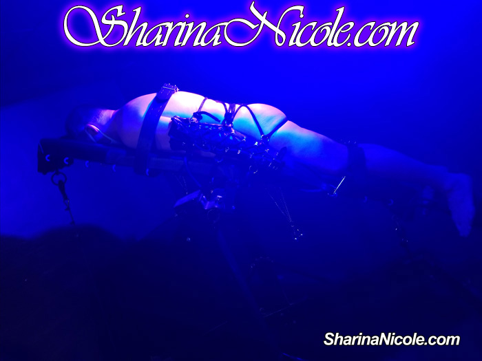 Sharina Nicole's panic room inversion table