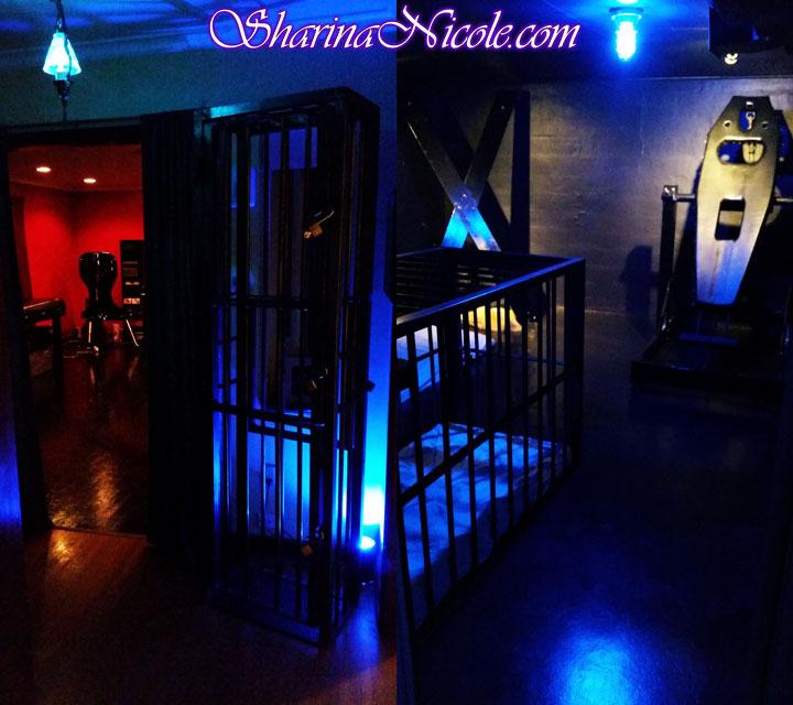 dominatrix mistress Sharina Nicole Minneapolis bdsm studio standup cage & panic room
