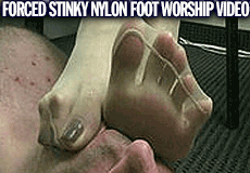 Forced Stinky Nylon Foot Worship Foot Fetish Video